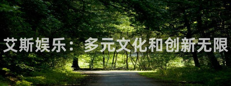极悦官方网：艾斯娱乐：多元文化和创新无限