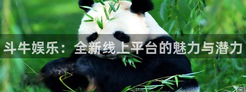 极悦：斗牛娱乐：全新线上平台的魅力与潜力