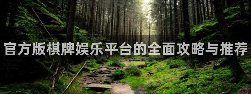 极悦：官方版棋牌娱乐平台的全面攻略与推荐