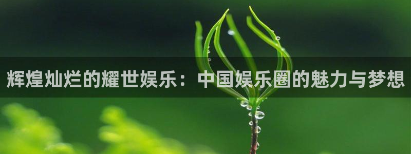 极悦娱乐官网：辉煌灿烂的耀世娱乐：中国娱乐圈的魅力与梦想