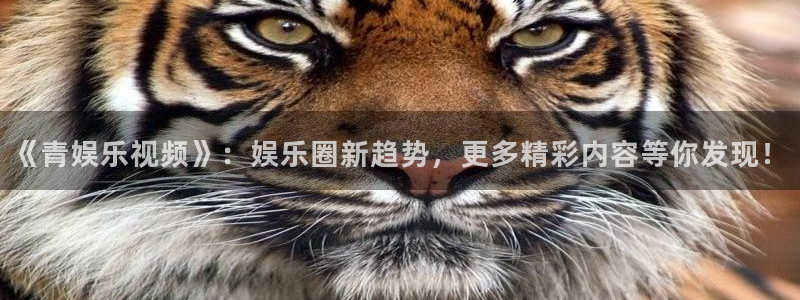 舒客极悦：《青娱乐视频》：娱乐圈新趋势，更多精彩内容等你发现！