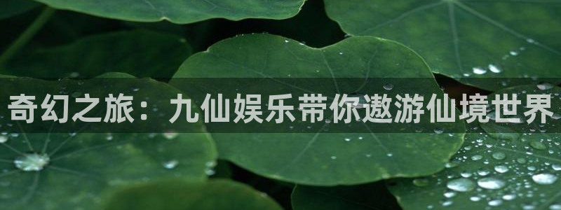 极悦娱乐：奇幻之旅：九仙娱乐带你遨游仙境世界