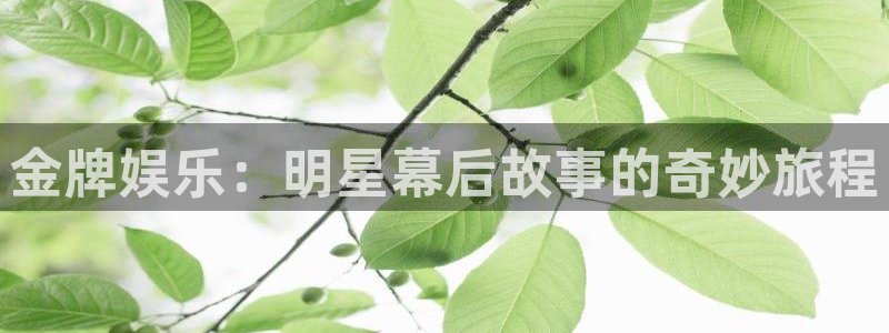 极悦注册：金牌娱乐：明星幕后故事的奇妙旅程
