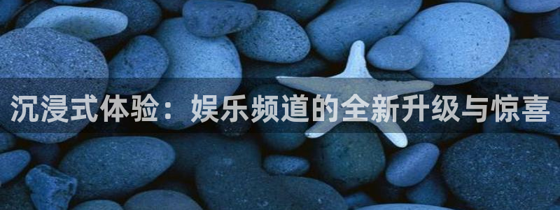 极悦娱乐官网：沉浸式体验：娱乐频道的全新升级与惊喜